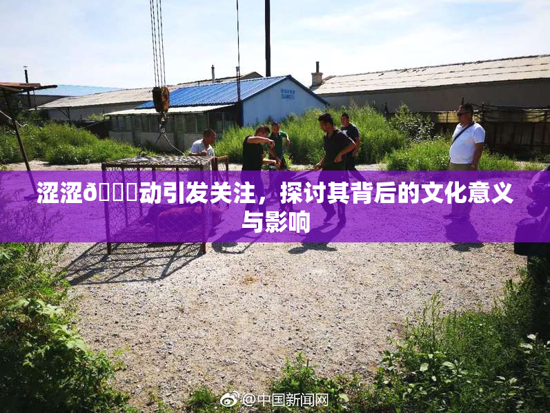 涩涩🔞动引发关注，探讨其背后的文化意义与影响