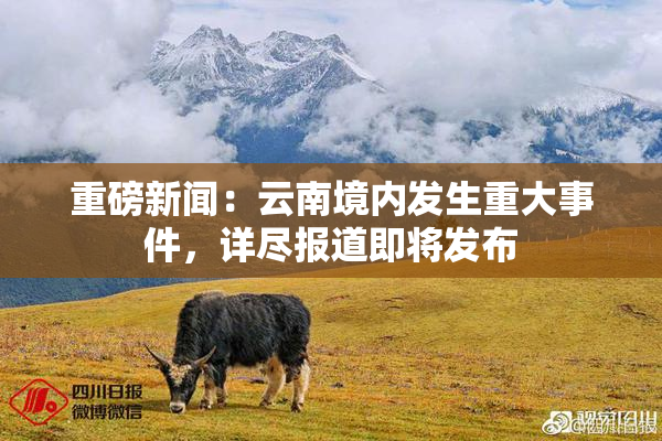 重磅新闻：云南境内发生重大事件，详尽报道即将发布