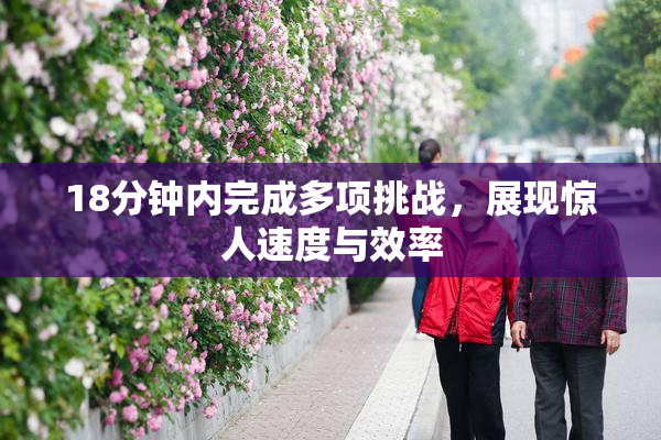 18分钟内完成多项挑战，展现惊人速度与效率