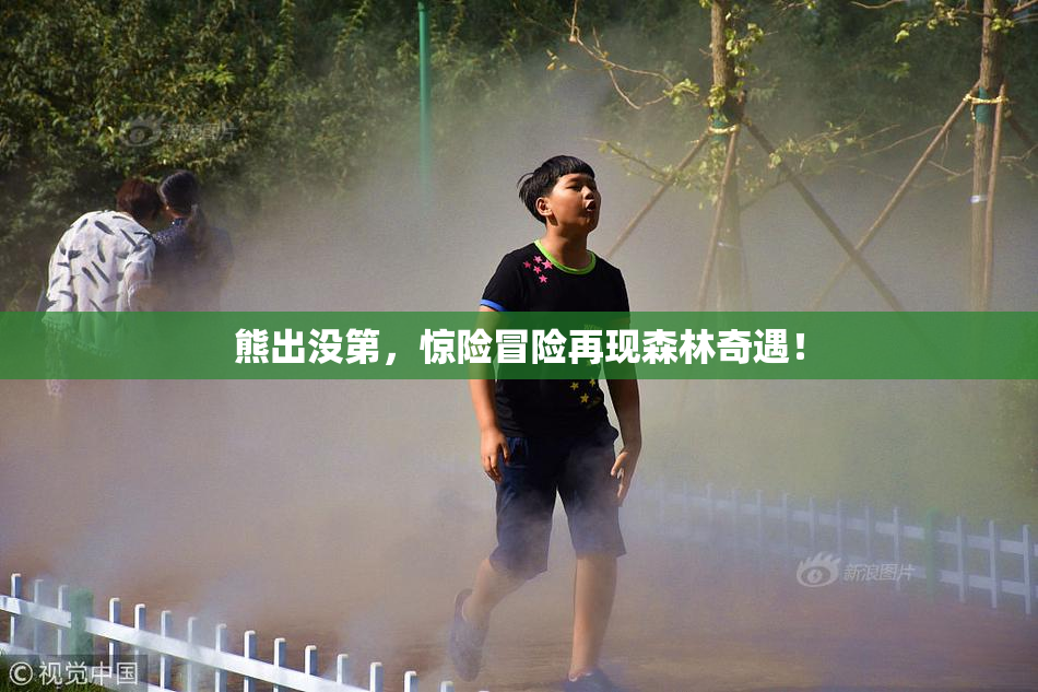 熊出没第，惊险冒险再现森林奇遇！