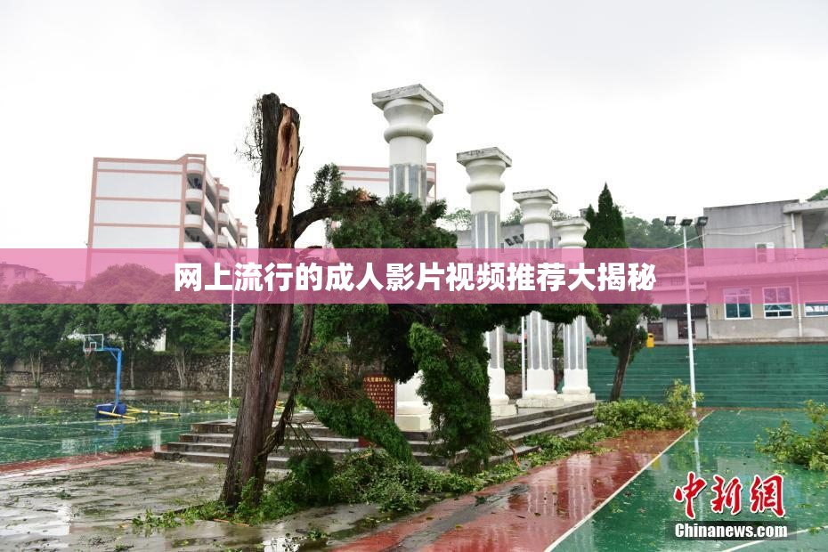 网上流行的成人影片视频推荐大揭秘