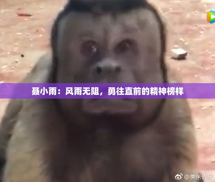 聂小雨：风雨无阻，勇往直前的精神榜样