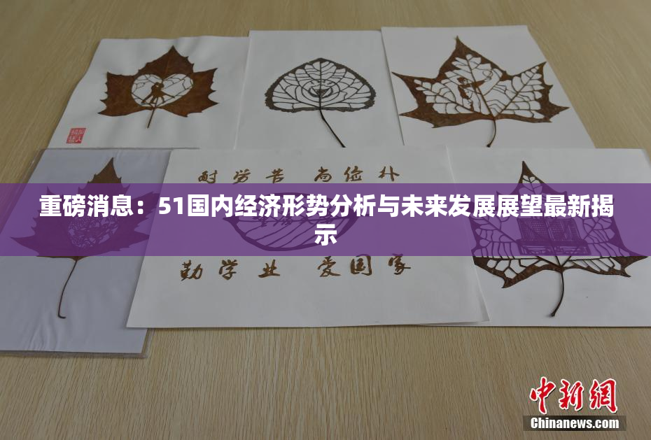 重磅消息：51国内经济形势分析与未来发展展望最新揭示