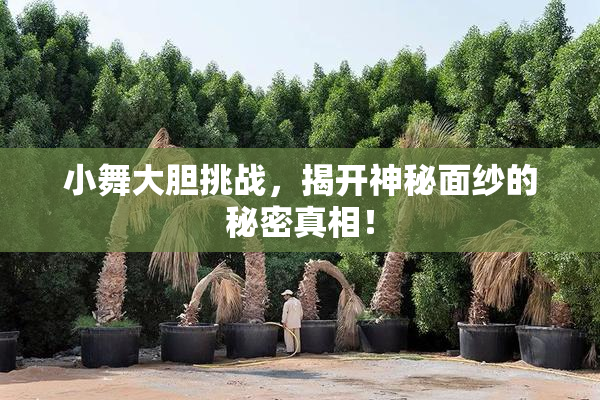 小舞大胆挑战，揭开神秘面纱的秘密真相！