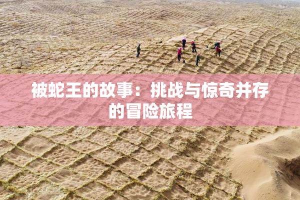 被蛇王的故事：挑战与惊奇并存的冒险旅程