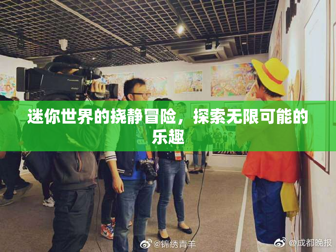 迷你世界的挠静冒险，探索无限可能的乐趣
