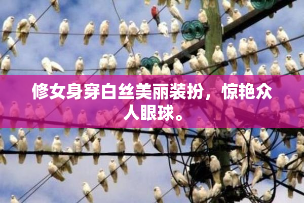 修女身穿白丝美丽装扮，惊艳众人眼球。