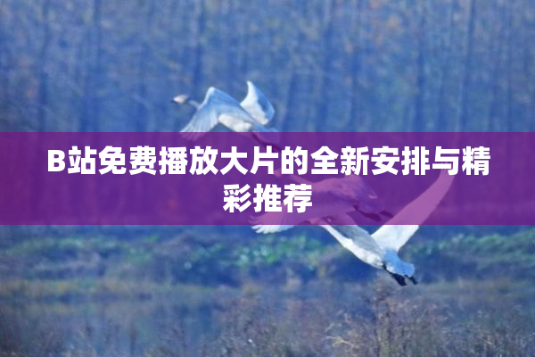 B站免费播放大片的全新安排与精彩推荐