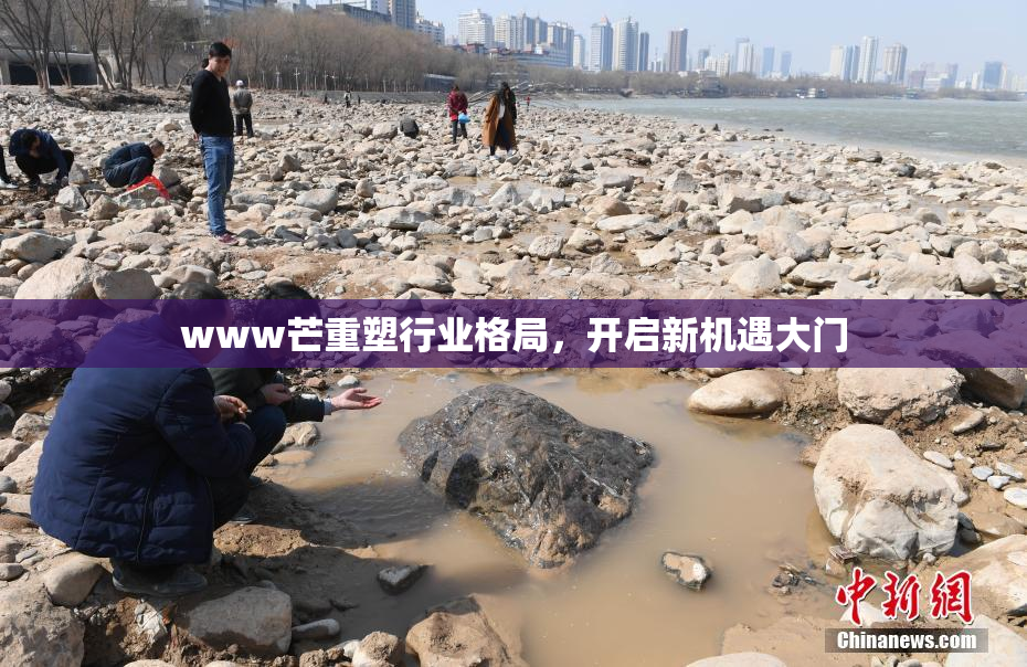 www芒重塑行业格局，开启新机遇大门