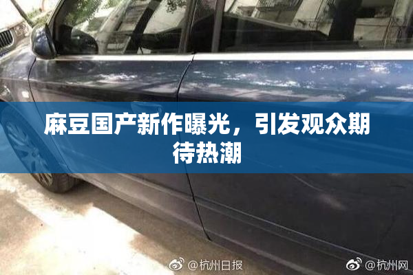 麻豆国产新作曝光，引发观众期待热潮