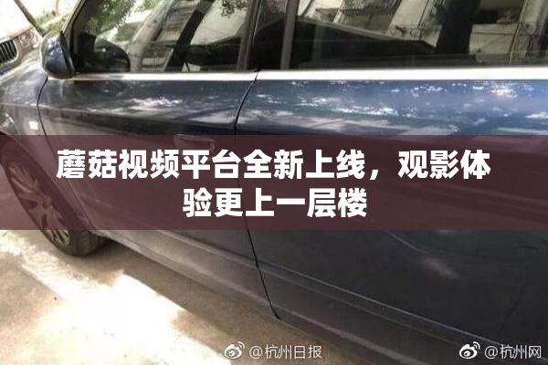 蘑菇视频平台全新上线，观影体验更上一层楼