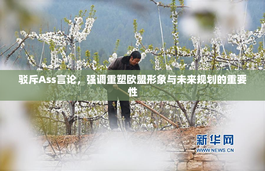 驳斥Ass言论，强调重塑欧盟形象与未来规划的重要性