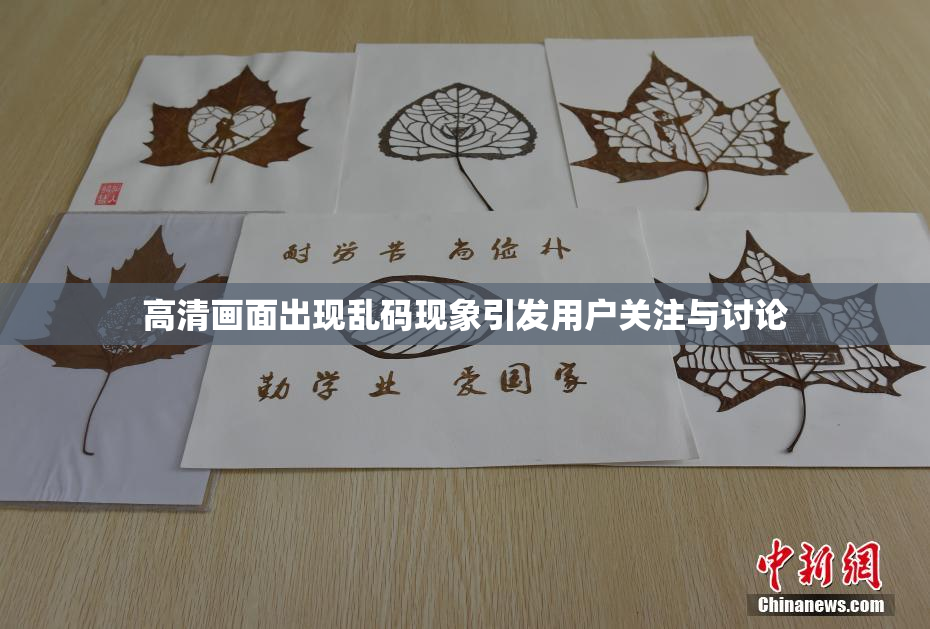 高清画面出现乱码现象引发用户关注与讨论