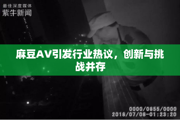 麻豆A∨引发行业热议，创新与挑战并存