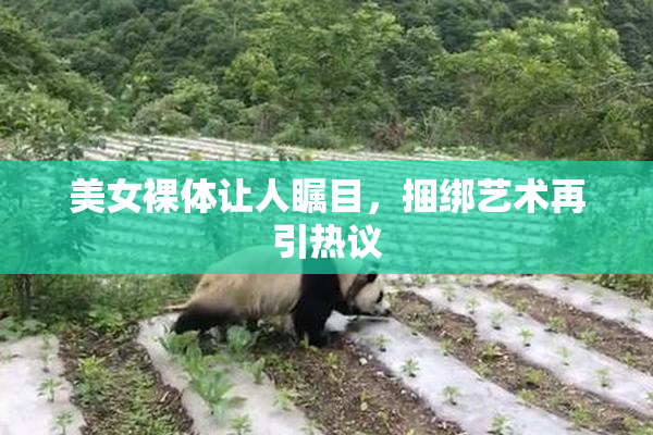 美女裸体让人瞩目，捆绑艺术再引热议