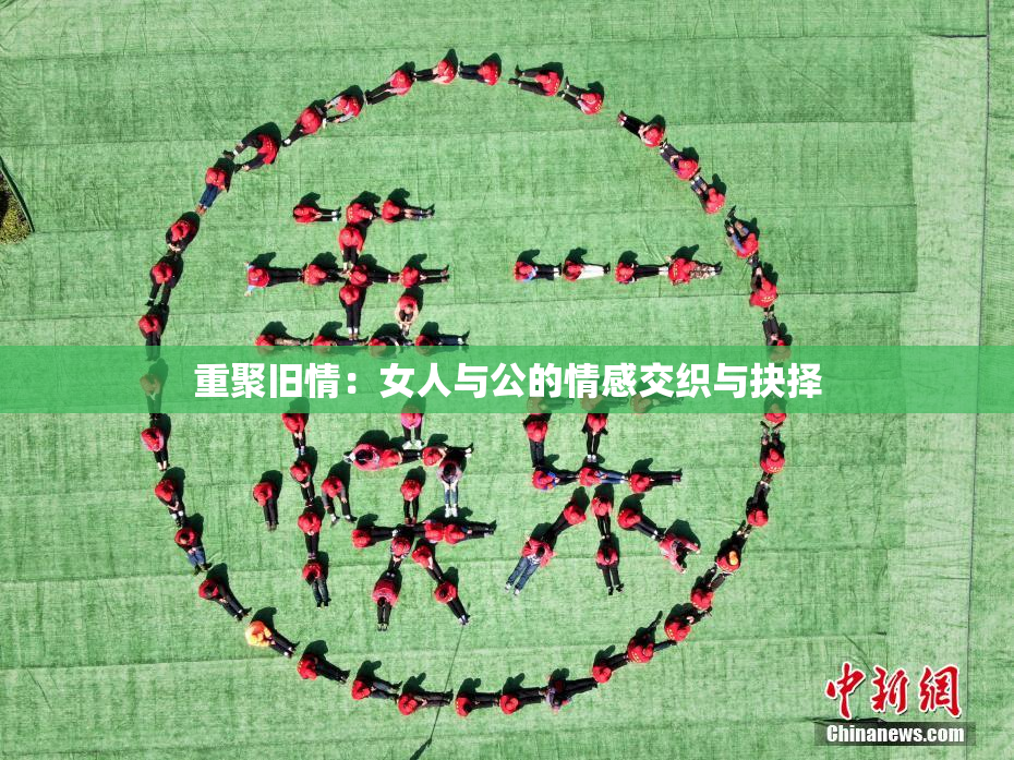 重聚旧情：女人与公的情感交织与抉择
