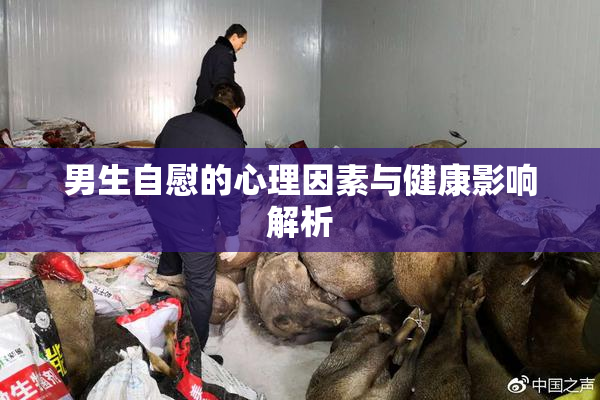 男生自慰的心理因素与健康影响解析