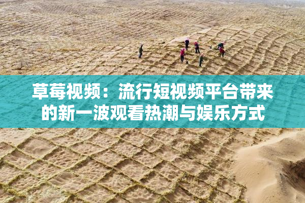 草莓视频：流行短视频平台带来的新一波观看热潮与娱乐方式