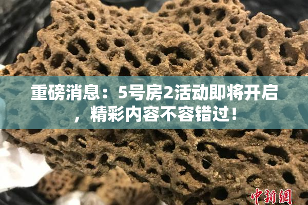 重磅消息：5号房2活动即将开启，精彩内容不容错过！