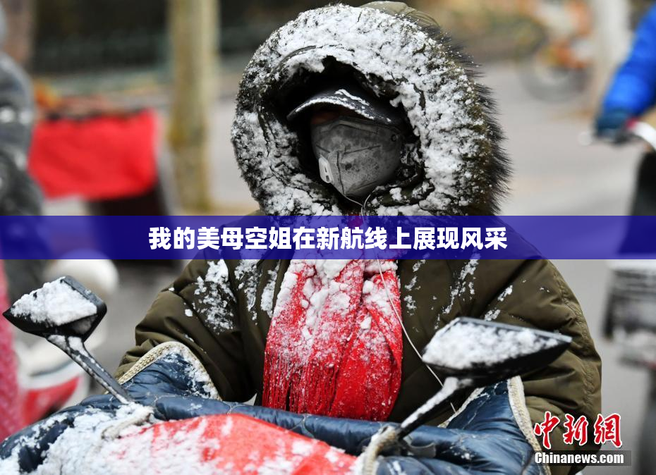 我的美母空姐在新航线上展现风采
