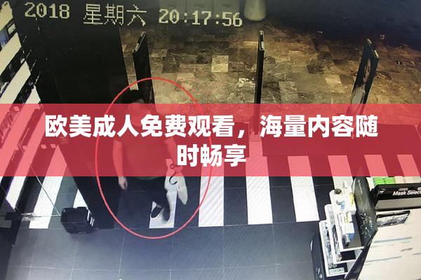 欧美成人免费观看，海量内容随时畅享