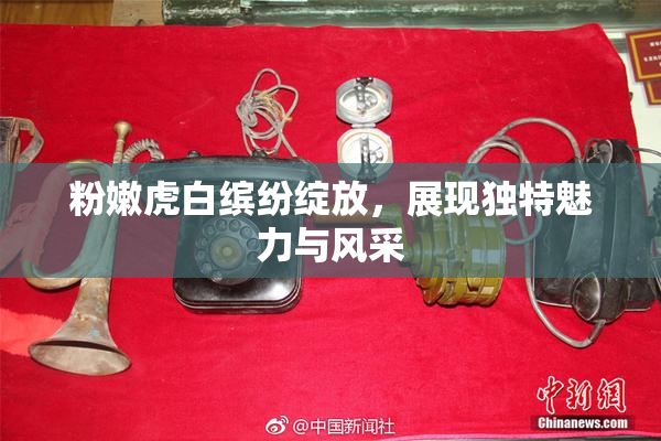 粉嫩虎白缤纷绽放，展现独特魅力与风采