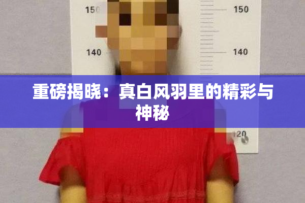 重磅揭晓：真白风羽里的精彩与神秘