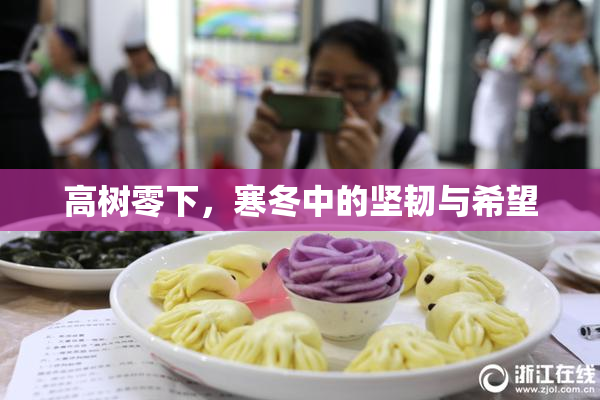 高树零下，寒冬中的坚韧与希望