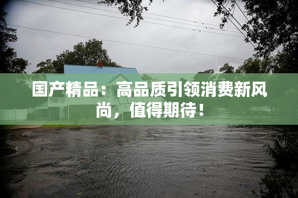 国产精品：高品质引领消费新风尚，值得期待！