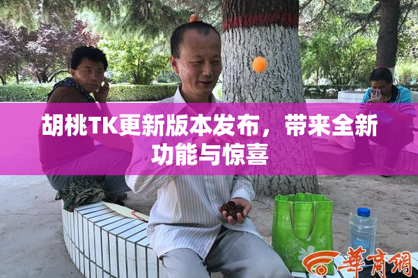 胡桃TK更新版本发布，带来全新功能与惊喜