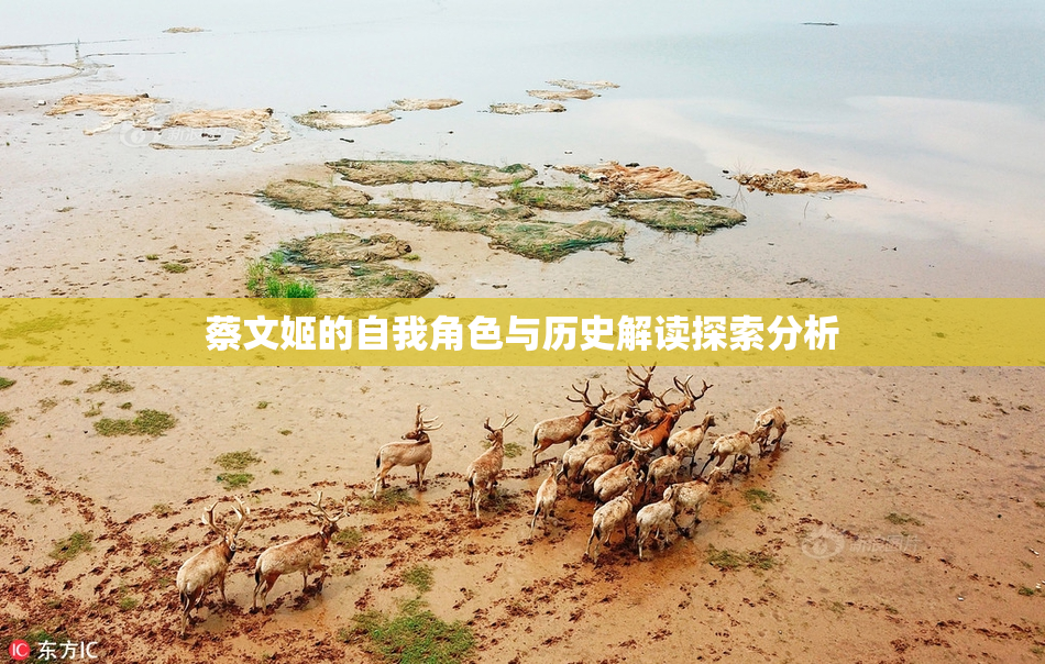 蔡文姬的自我角色与历史解读探索分析