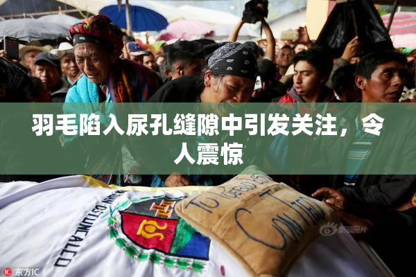羽毛陷入尿孔缝隙中引发关注，令人震惊