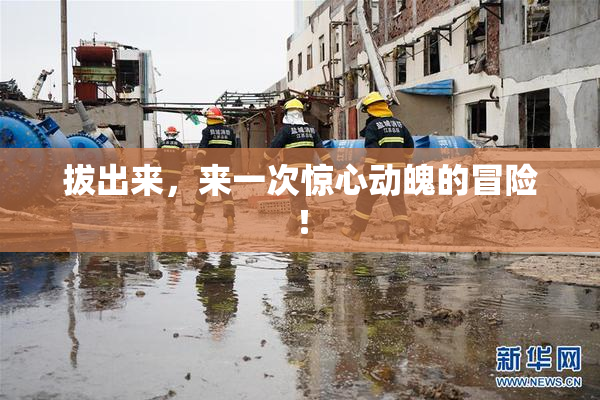 拔出来，来一次惊心动魄的冒险！