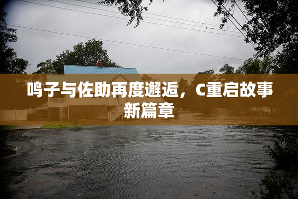 鸣子与佐助再度邂逅，C重启故事新篇章