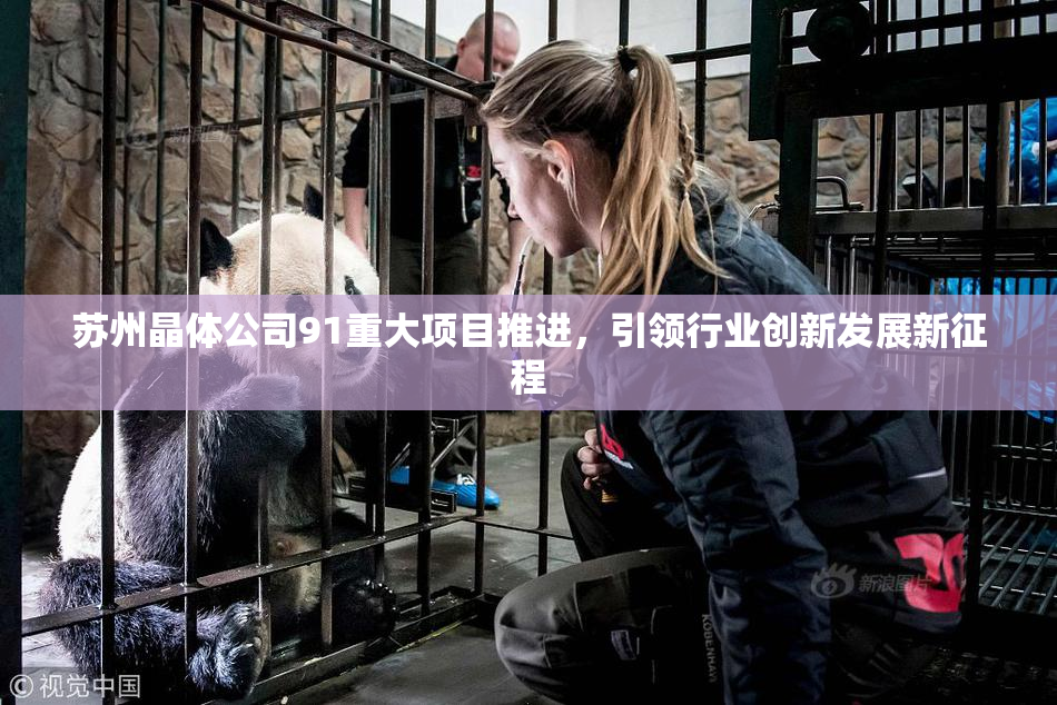 苏州晶体公司91重大项目推进，引领行业创新发展新征程