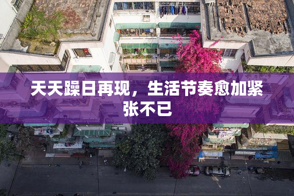 天天躁日再现，生活节奏愈加紧张不已