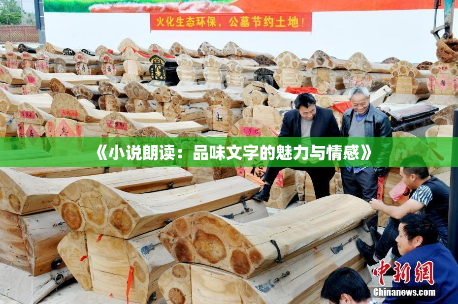 《小说朗读：品味文字的魅力与情感》
