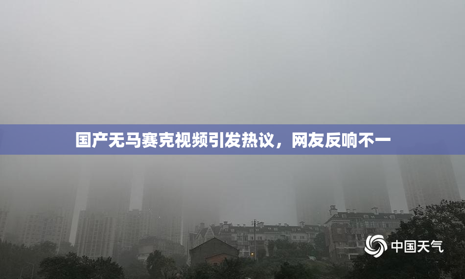 国产无马赛克视频引发热议，网友反响不一