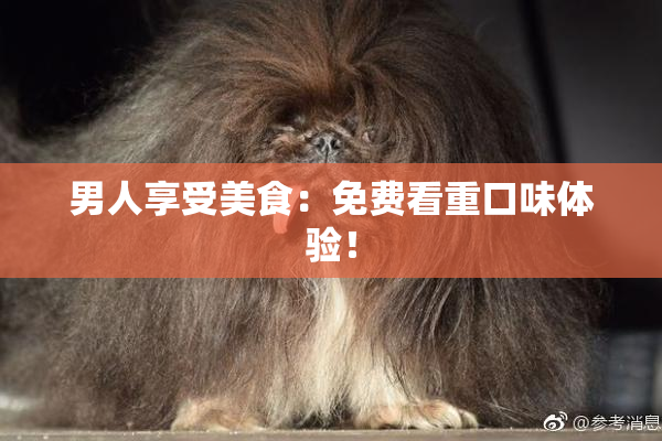 男人享受美食：免费看重口味体验！