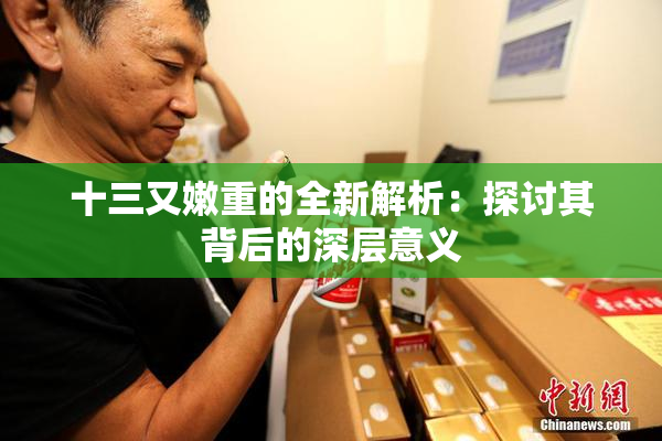 十三又嫩重的全新解析：探讨其背后的深层意义