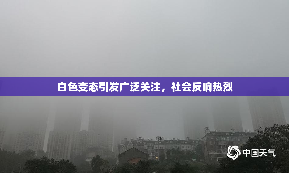 白色变态引发广泛关注，社会反响热烈