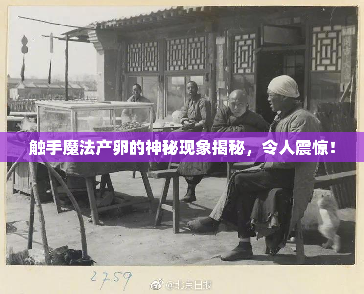 触手魔法产卵的神秘现象揭秘，令人震惊！