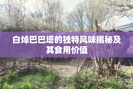 白焯巴巴塔的独特风味揭秘及其食用价值