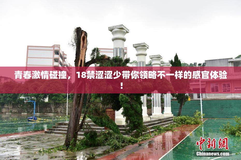 青春激情碰撞，18禁涩涩少带你领略不一样的感官体验！