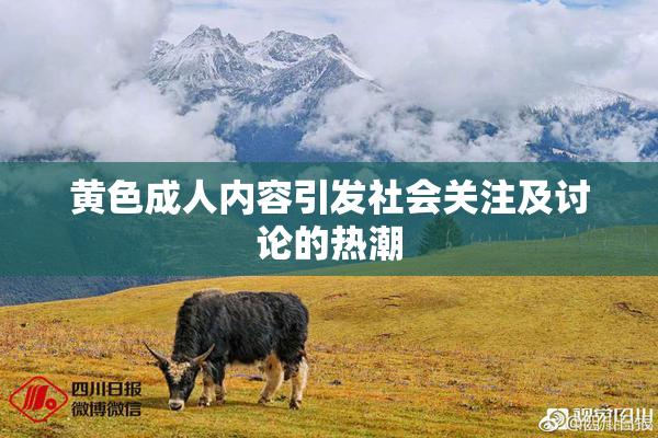 黄色成人内容引发社会关注及讨论的热潮