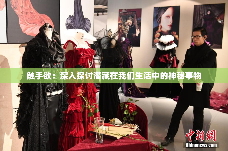 触手欲：深入探讨潜藏在我们生活中的神秘事物