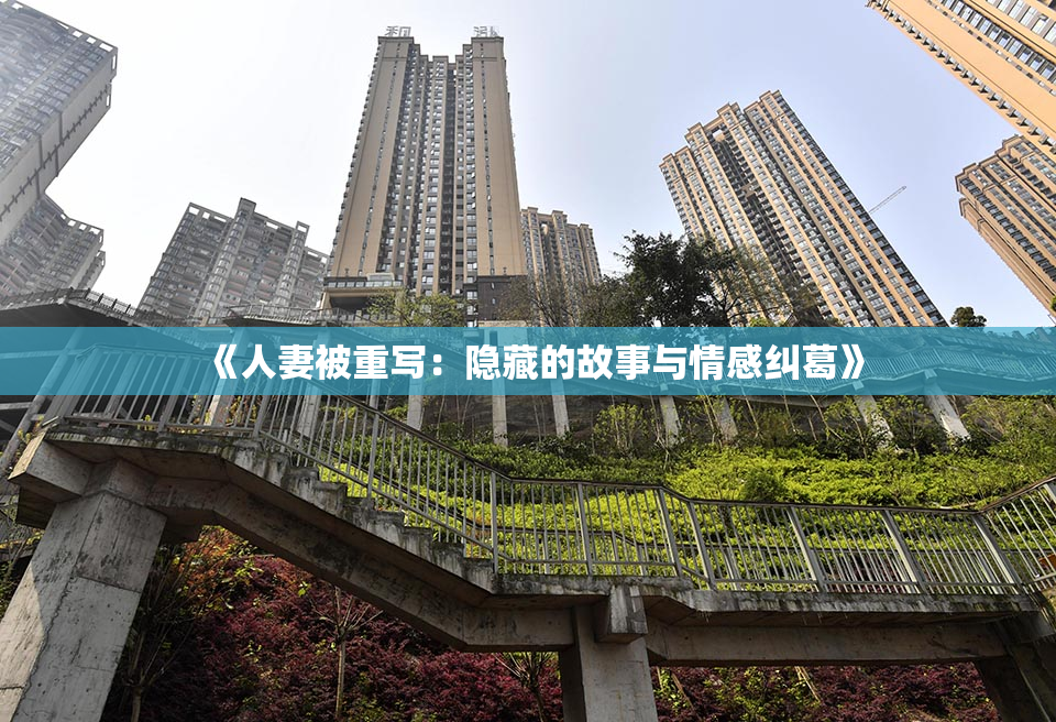 《人妻被重写：隐藏的故事与情感纠葛》