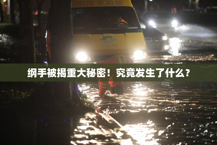 纲手被揭重大秘密！究竟发生了什么？