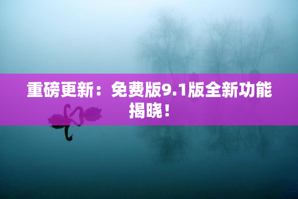 重磅更新：免费版9.1版全新功能揭晓！