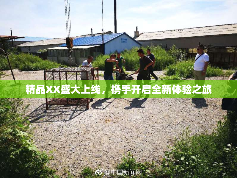 精品XX盛大上线，携手开启全新体验之旅